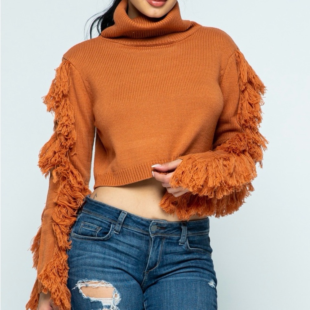 Fringe Sleeve Turtleneck Sweater